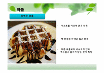 [유럽지역론] 벨기에 국가 분석-16