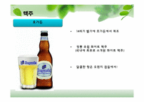 [유럽지역론] 벨기에 국가 분석-18