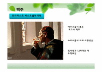 [유럽지역론] 벨기에 국가 분석-19