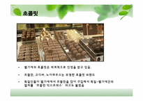 [유럽지역론] 벨기에 국가 분석-20