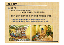 [판소리의이해] 흥보가의 분석과 이해-6