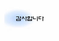 [글쓰기와토론] 인터넷 실명제에 관한 고찰(인터넷 실명제 반대의 입장)-12