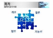 [기능성식품학] Alkoxyglycerol(알콕시글리세롤) 분석-2