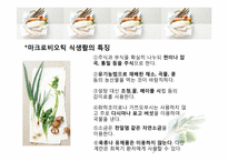 [식품학] MACROBIOTIC(마크로 비오틱)에 관한 분석-8