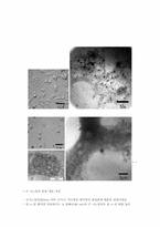[생명공학론] 분자 영상 연구에 응용되는 CT contrast agent(CT조영제)-12