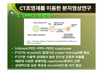 [생명공학론] 분자 영상 연구에 응용되는 CT contrast agent(CT조영제)-14