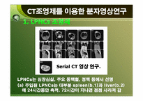 [생명공학론] 분자 영상 연구에 응용되는 CT contrast agent(CT조영제)-20