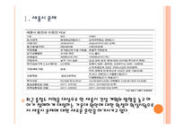 [세종시문제]세종시 원안 vs 수정안 비교분서과 원안 확정에 따른 전망 PPT자료-3