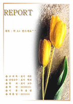 베스트 - 노란 튤립(수정)-1
