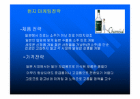 진로소주 일본 진출 성공사례-7