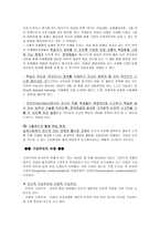 인지적 구성주의와 사회적 구성주의의 비교-6
