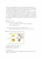 [마케팅] 클린앤클리어 조사-8