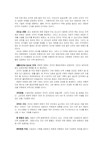 조직 문화관리 레포트-14