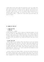 [마케팅] 성공적 신제품 개발 런칭 사례(소비자 조사 중심) -LG 싸이언 프로슈머 마케팅 전략-7