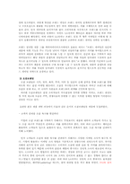 [마케팅] 성공적 신제품 개발 런칭 사례(소비자 조사 중심) -LG 싸이언 프로슈머 마케팅 전략-8