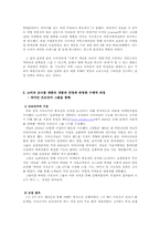 [마케팅] 성공적 신제품 개발 런칭 사례(소비자 조사 중심) -LG 싸이언 프로슈머 마케팅 전략-11