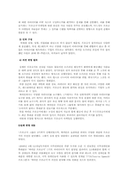 [마케팅] 성공적 신제품 개발 런칭 사례(소비자 조사 중심) -LG 싸이언 프로슈머 마케팅 전략-12