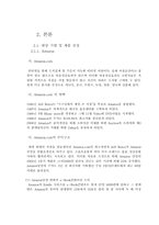 Kindle의 국내시장 진출-4