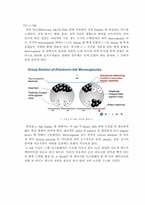 Kindle의 국내시장 진출-8