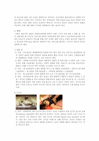 아시아나항공 신상품 마케팅-19
