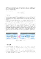 공급망관리 SCM 레포트-5