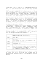 WTO의 직접투자에 대한 규제및 방침-3