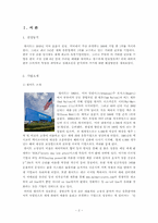 [국제마케팅] 월마트의 한국 진출사례 및 실패 대응전략-2