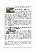 [국제경영론] 중국시장 내 신라면의 마케팅 전략 분석-5