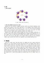 [생산관리론] ERP(전사적 자원관리) -대웅제약 ERP 성공사례-12
