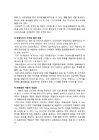 [관광] 한국방문의 해 외래관광객 유치전략-11