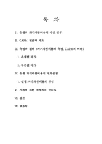 [국제금융] 글로벌 은행의 자기자본 비용 -1990~2009년의 CAPM 분석-3
