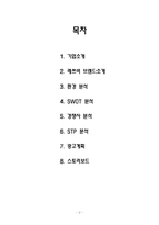 롯데칠성음료(주) 레쓰비 마케팅분석 및 광고기획-2