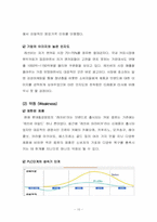롯데칠성음료(주) 레쓰비 마케팅분석 및 광고기획-10