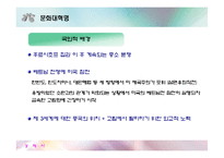 [경제사] 중국의 문화혁명-20