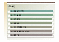 [국제물류론] 대한통운 글로벌물류기업조사-2