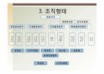 [국제물류론] 대한통운 글로벌물류기업조사-9