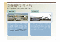 [국제물류론] 대한통운 글로벌물류기업조사-13