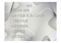 건국대학교 광고 기획안-2