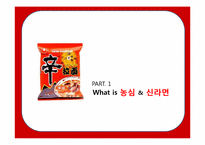 [국제경영론] 중국시장 내 신라면의 마케팅 전략 분석-3