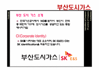 [경영정보] 부산도시가스의 MIS-3