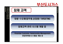 [경영정보] 부산도시가스의 MIS-16