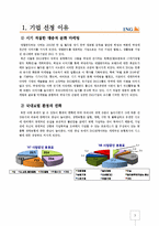 [국제경영전략] ING 그룹과 한국 ING 생명-2