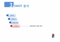 [소비자행동론] 맥콜(Mc COL)에 관한 연구-13