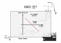 KIKO 키코 레포트-5