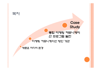 브랜드 에쿼티 구축을 위한 통합 마케팅 커뮤니케이션-2