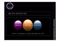 소비자 학습이론과 사례-3