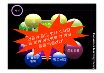 소비자 학습이론과 사례-6