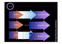 소비자 학습이론과 사례-8