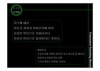 소비자 학습이론과 사례-10
