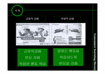 소비자 학습이론과 사례-16